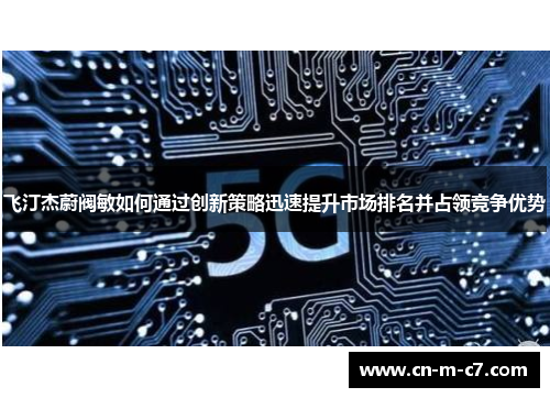 飞汀杰蔚阀敏如何通过创新策略迅速提升市场排名并占领竞争优势 飞汀杰蔚阀敏如何通过创新策略迅速提升市场排名并占领竞争优势