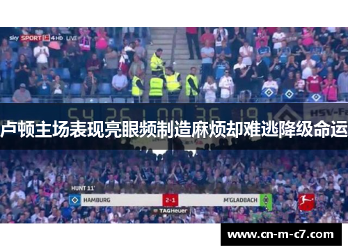 卢顿主场表现亮眼频制造麻烦却难逃降级命运